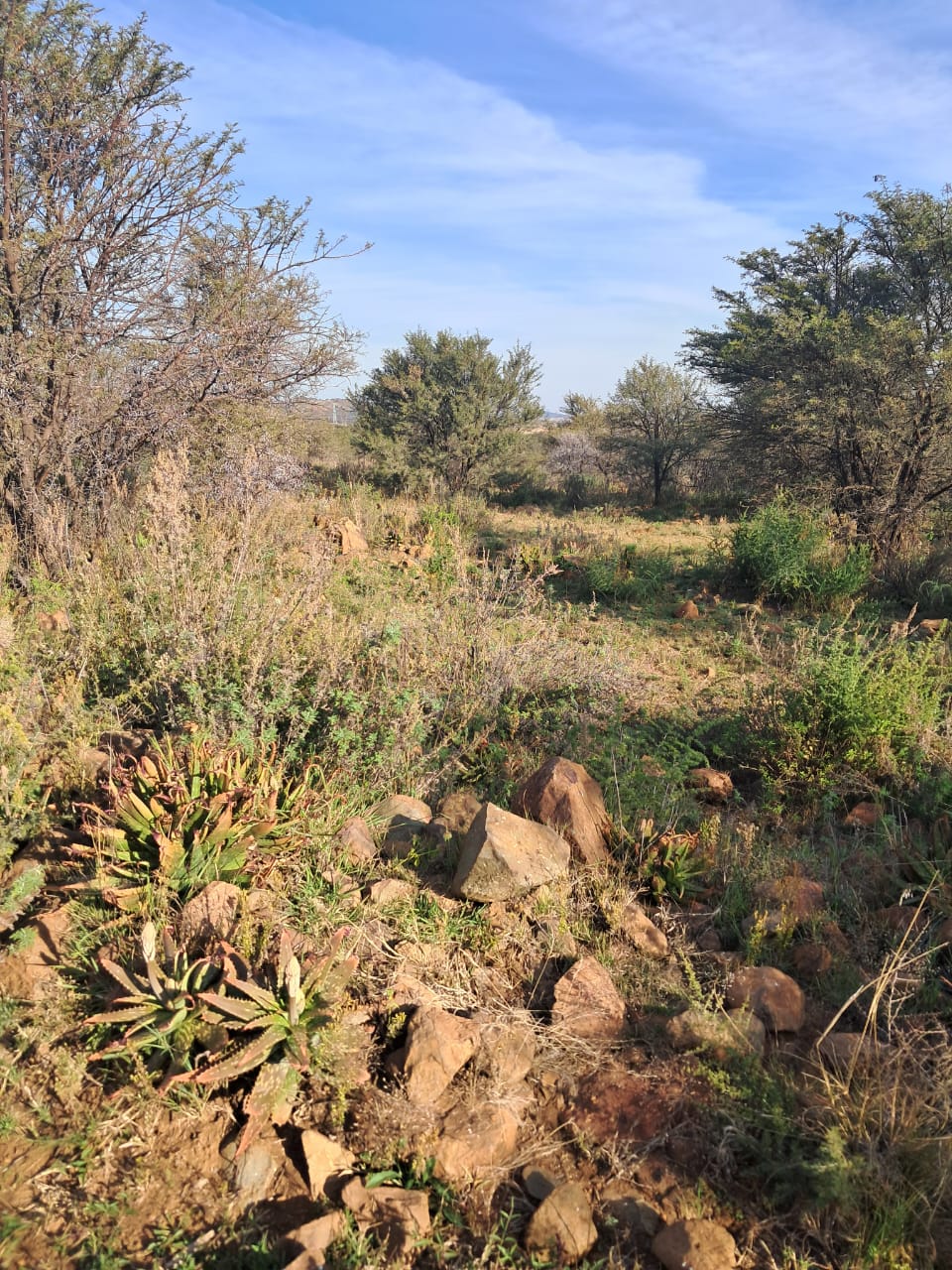 14.8 Ha Farm for Sale  photo 2