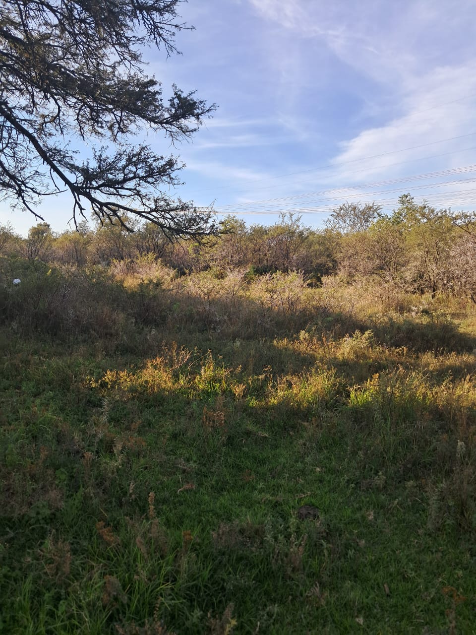 14.8 Ha Farm for Sale  photo 5