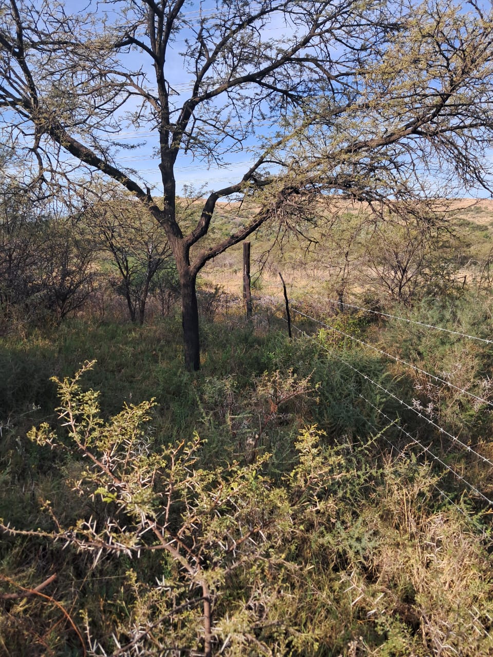 14.8 Ha Farm for Sale  photo 3