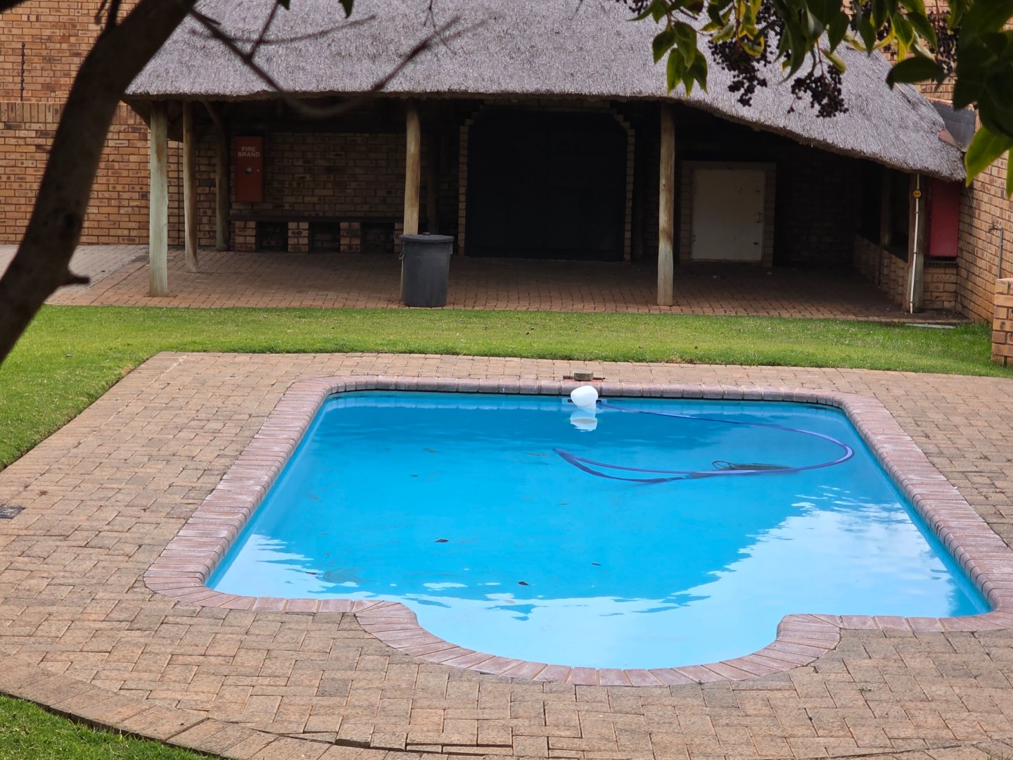 Available immediately! 100% marketready in mint condition
