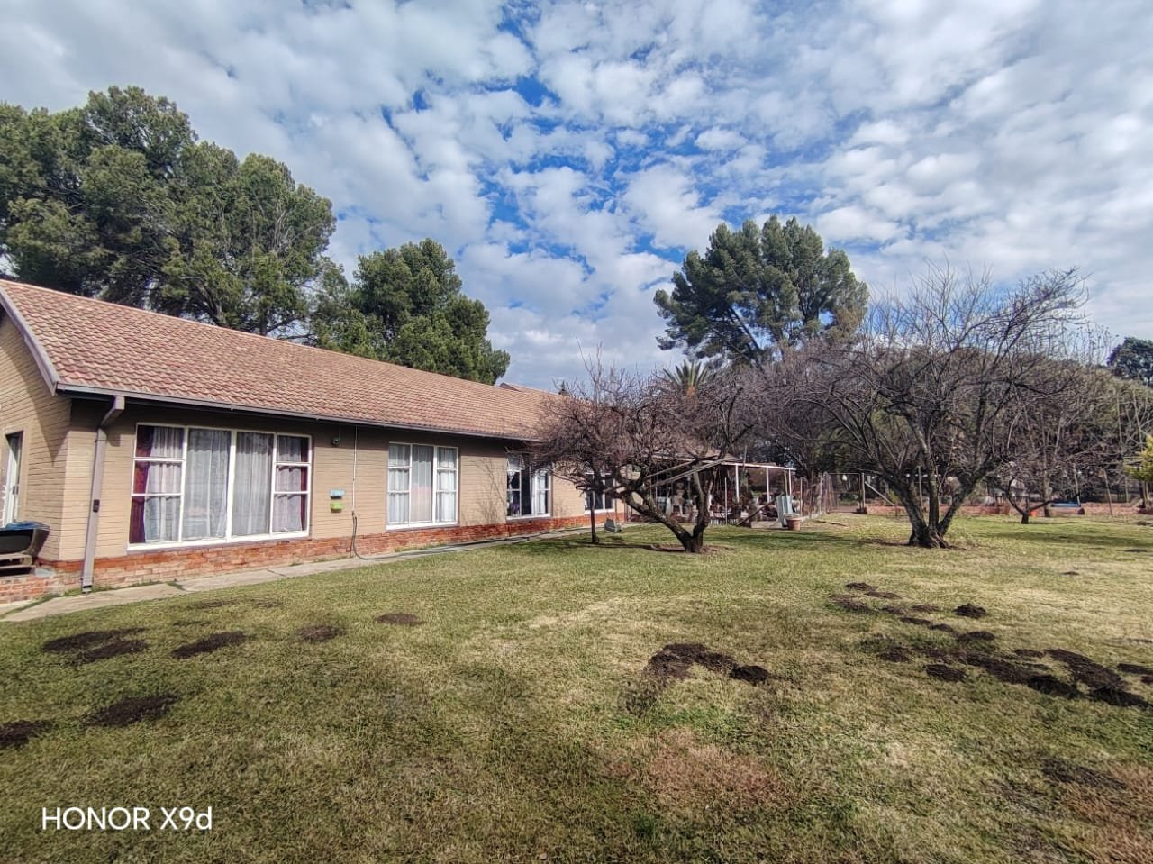 Spacious Smallholding with income potential.