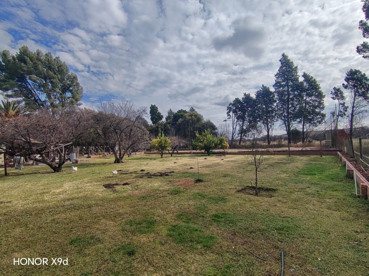 Spacious Smallholding with income potential. photo 4