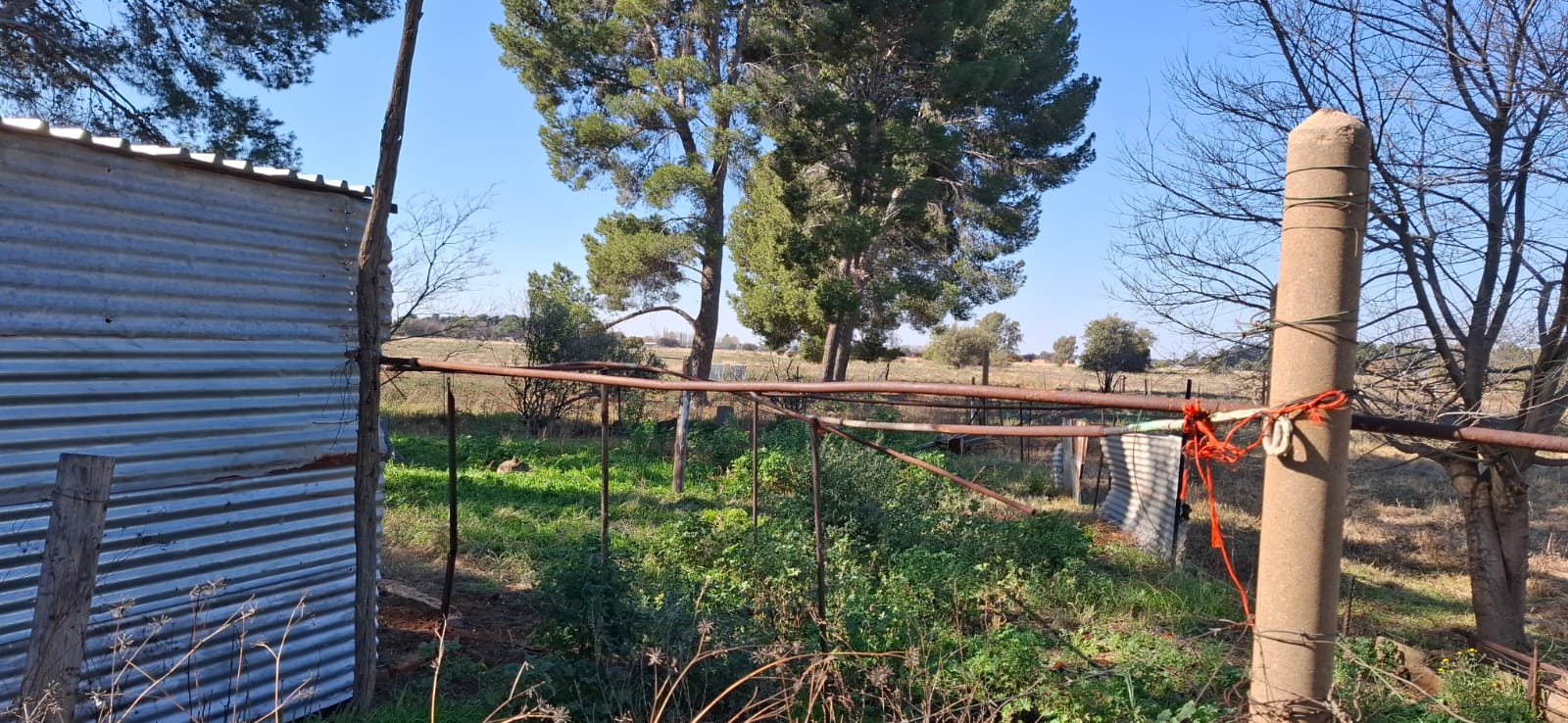 8.6ha Smallholding for Sale in Bloemdal – Great Opportunity with Plenty of Potential photo 5