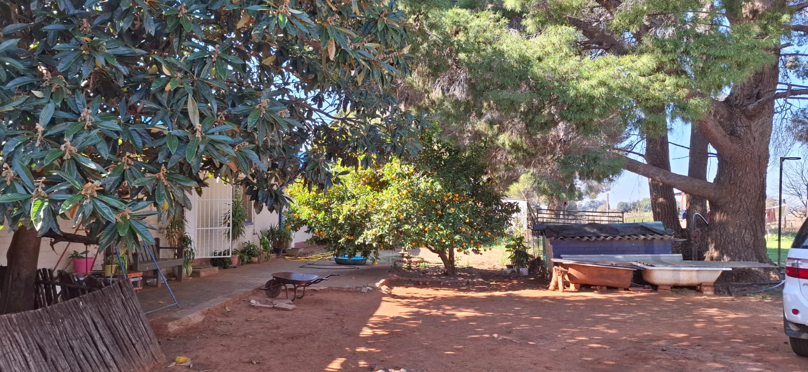 8.6ha Smallholding for Sale in Bloemdal – Great Opportunity with Plenty of Potential photo 4