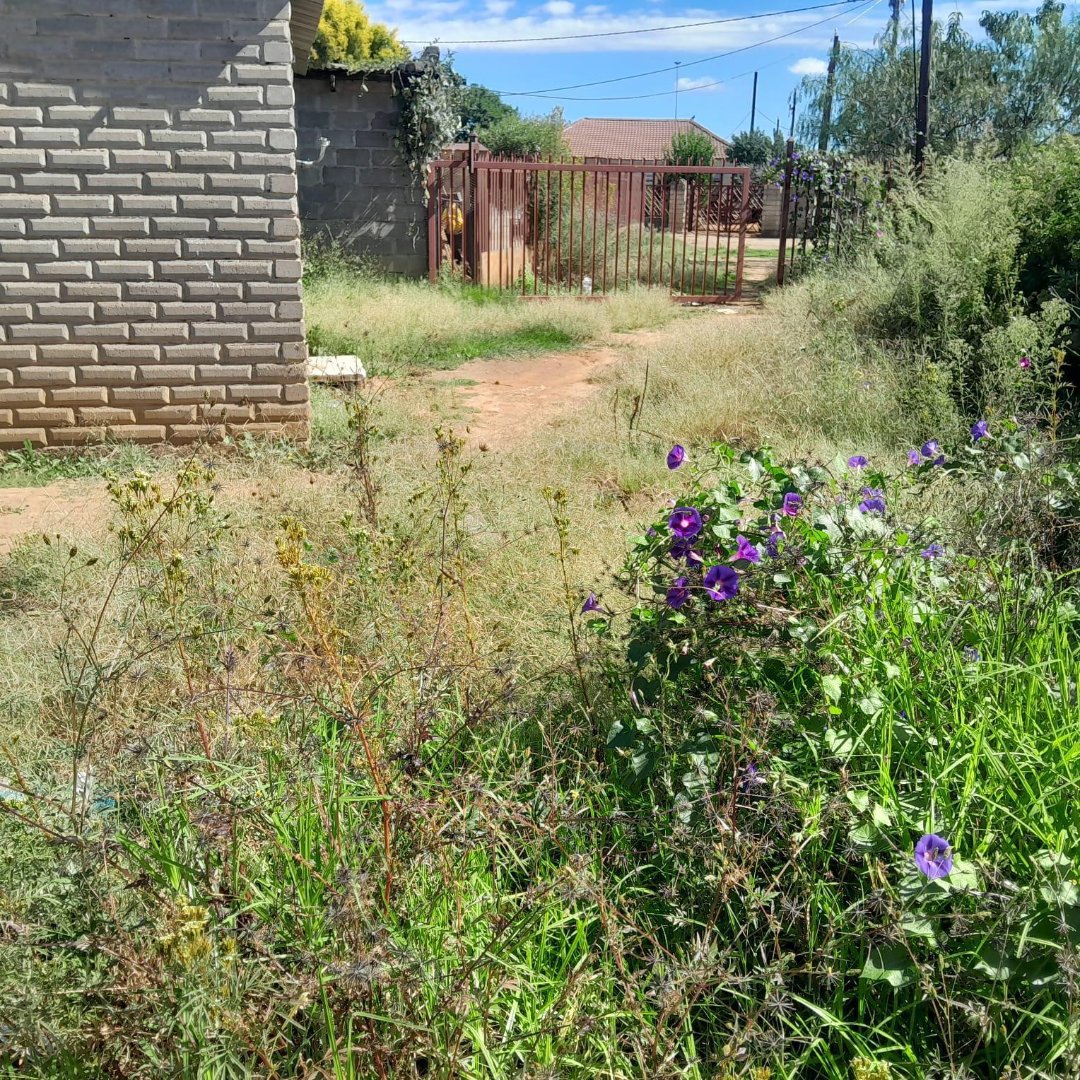 Fenced 2-Bedroom Home on 469m² Erf in Meriting, Kagisanong photo 4