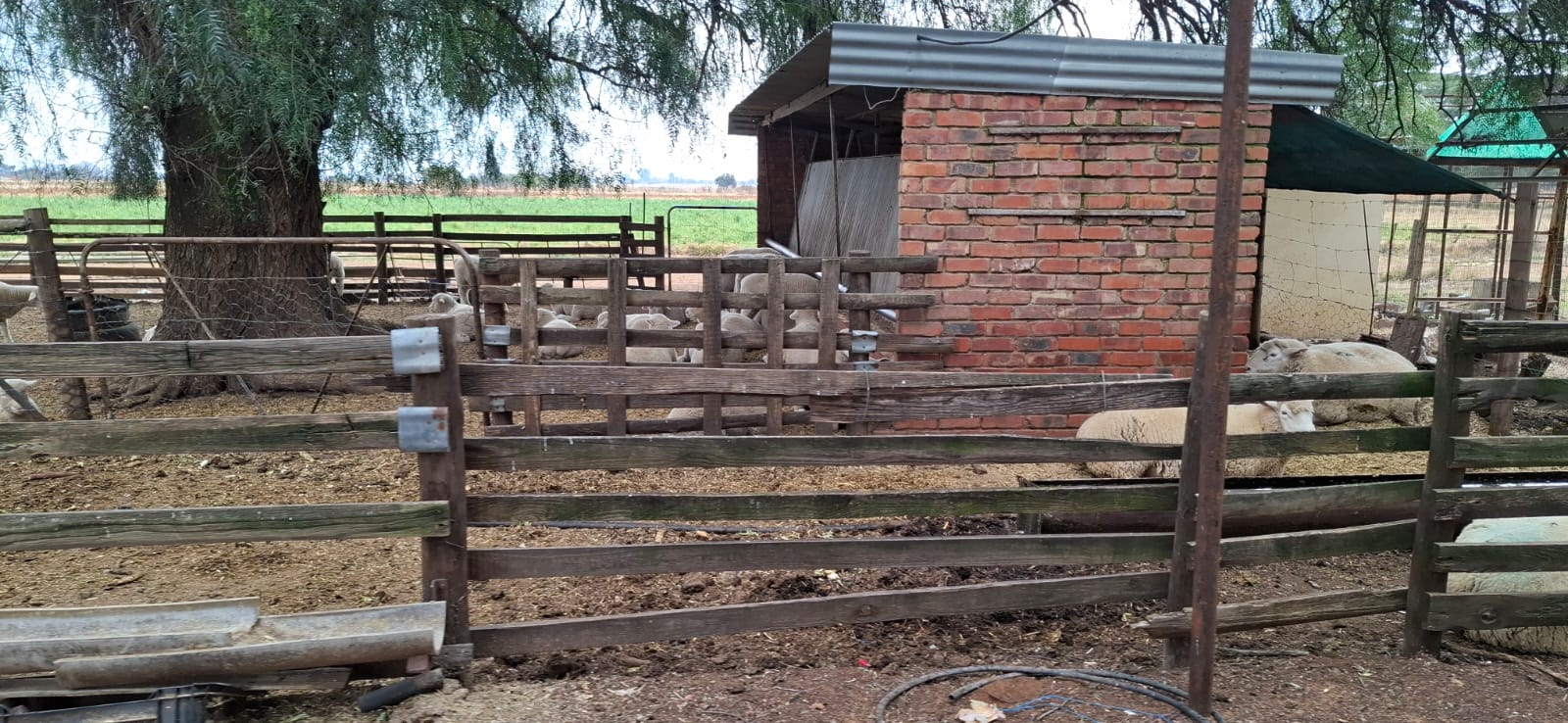  Irrigation Farm for Sale – Bainsvlei, Bloemfontein photo 5