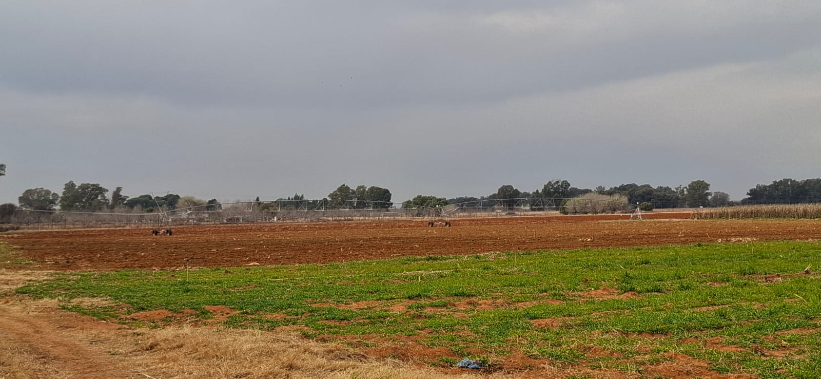 Irrigation Farm for Sale – Bainsvlei, Bloemfontein