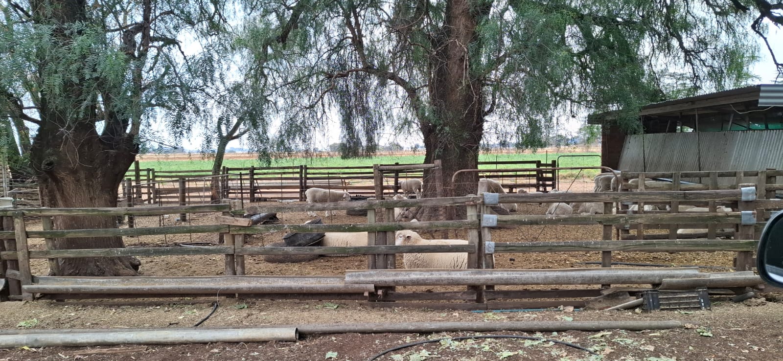  Irrigation Farm for Sale – Bainsvlei, Bloemfontein photo 4