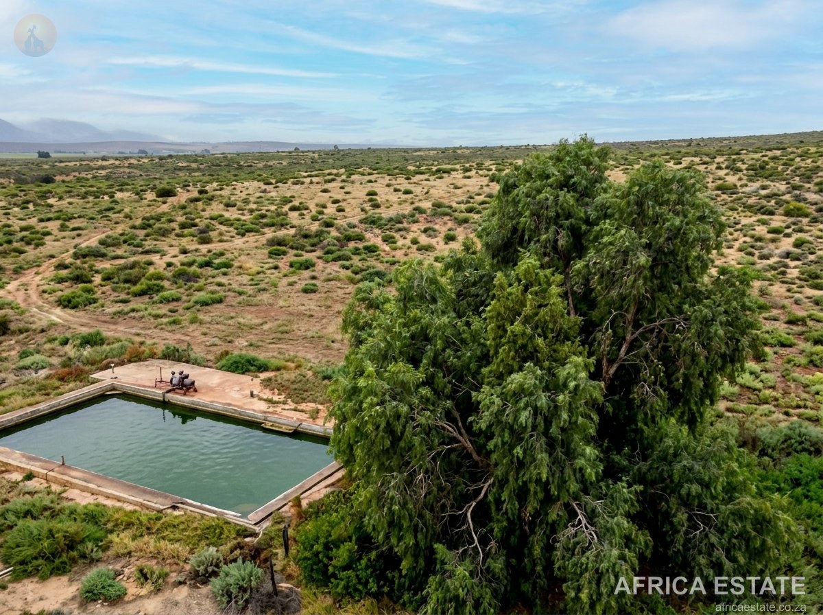 10 986 ha Karoo Livestock Farm with Seven Titles for Sale near Van Wyksvlei, Carnarvon District photo 4