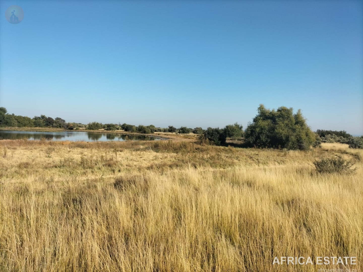 698 ha Cattle Farm for Sale near Kimberley with 7 km N12 Frontage