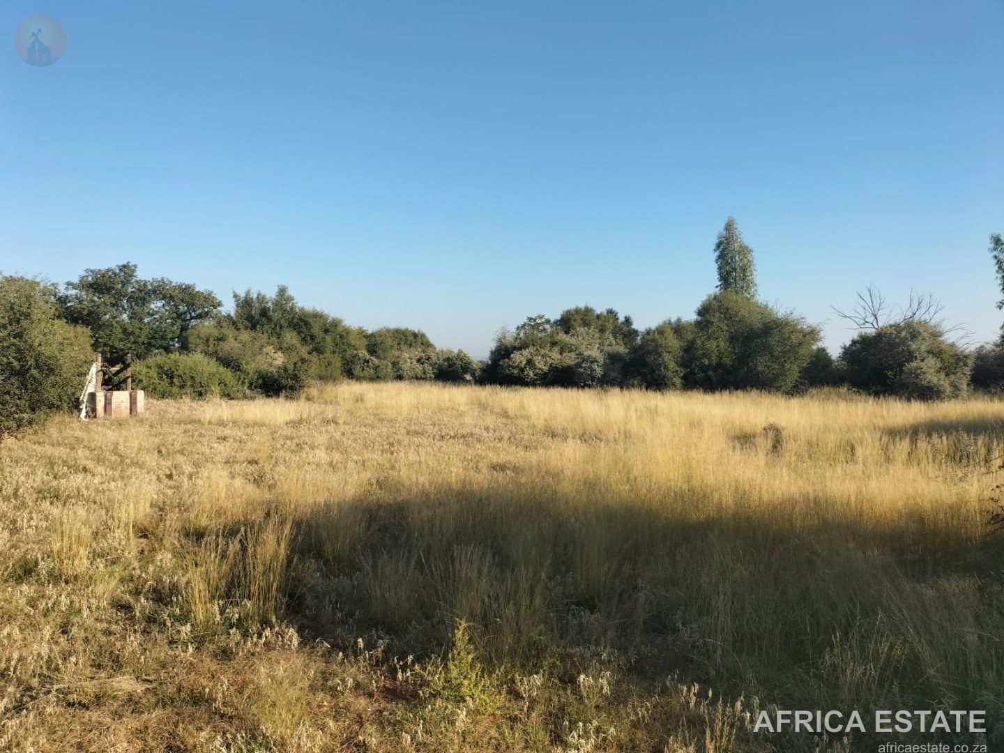 698 ha Cattle Farm for Sale near Kimberley with 7 km N12 Frontage photo 3