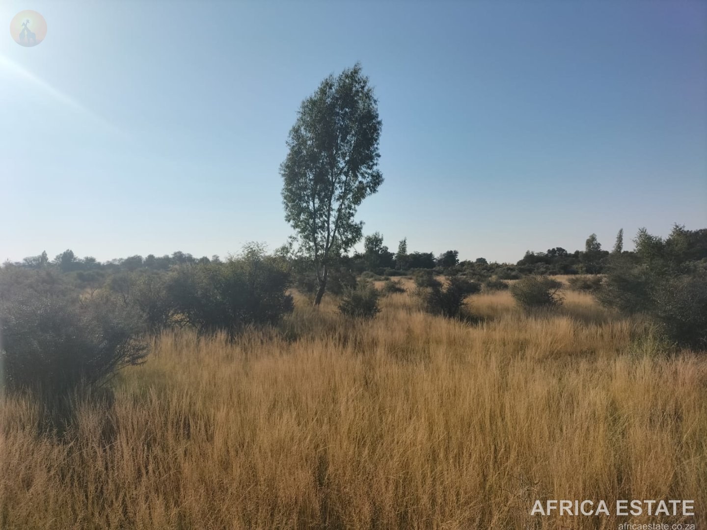 698 ha Cattle Farm for Sale near Kimberley with 7 km N12 Frontage photo 5